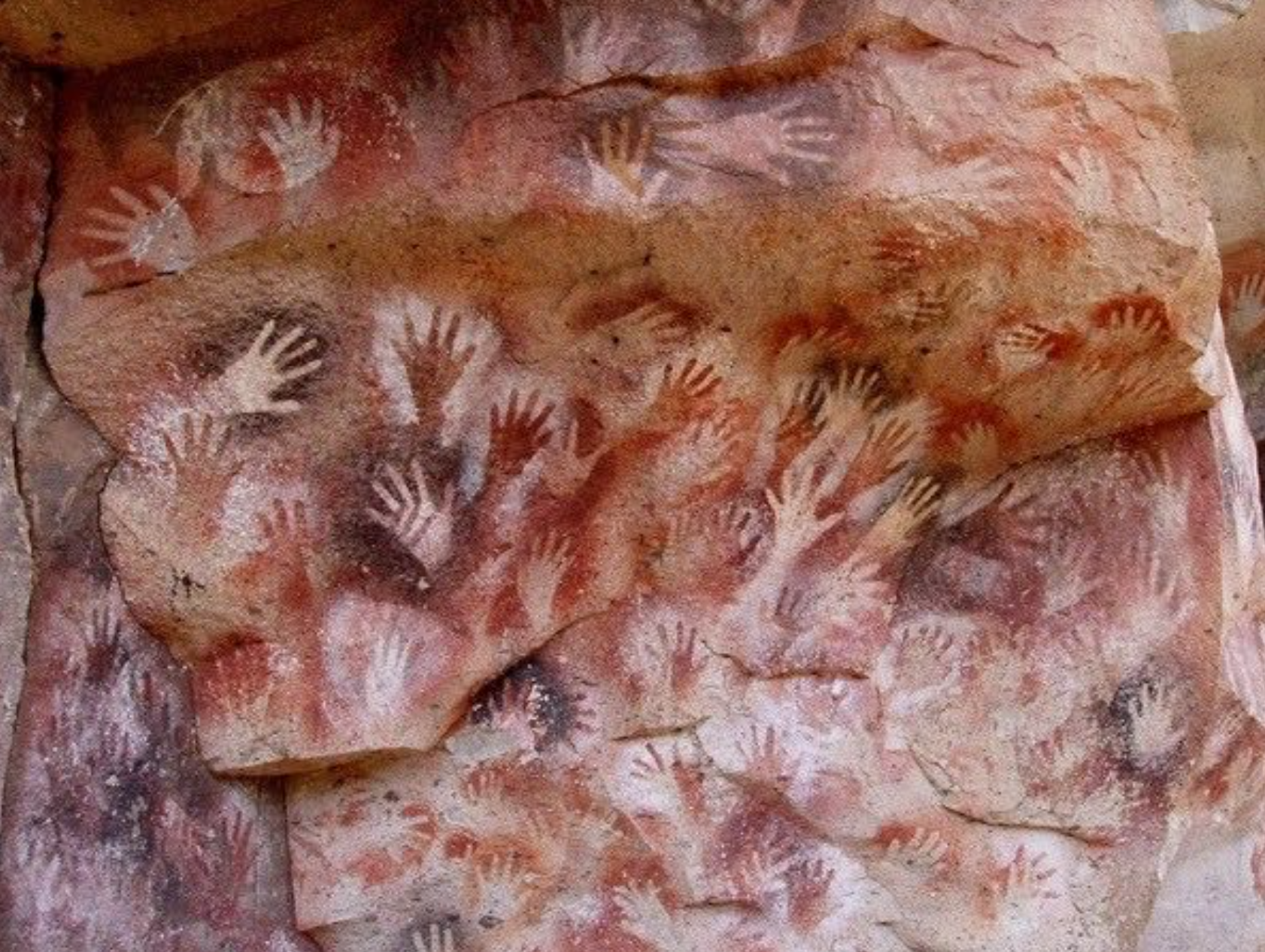 Accueil des nouveaux Rainbowmakers